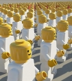 梦见选民
